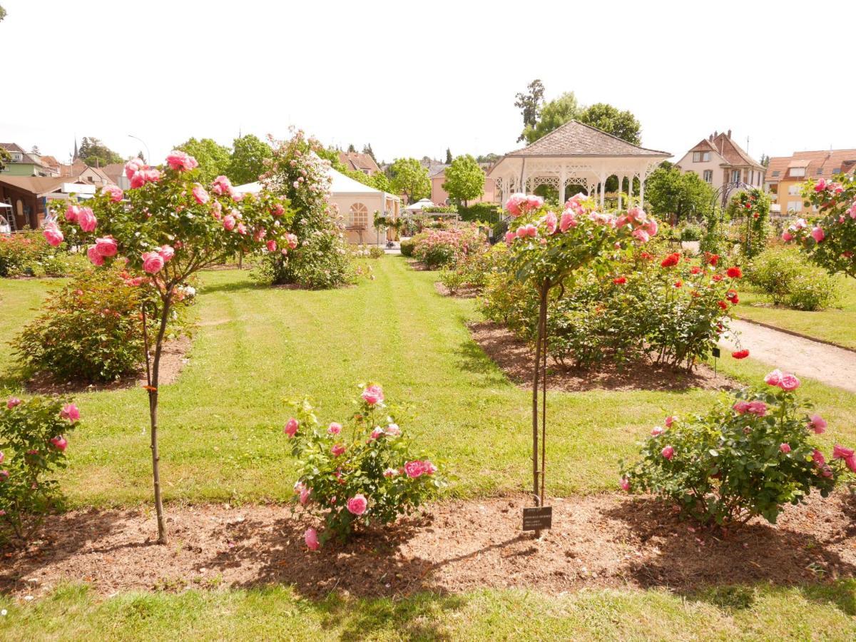 Le Jardin Des Roses Lejlighed Saverne Eksteriør billede