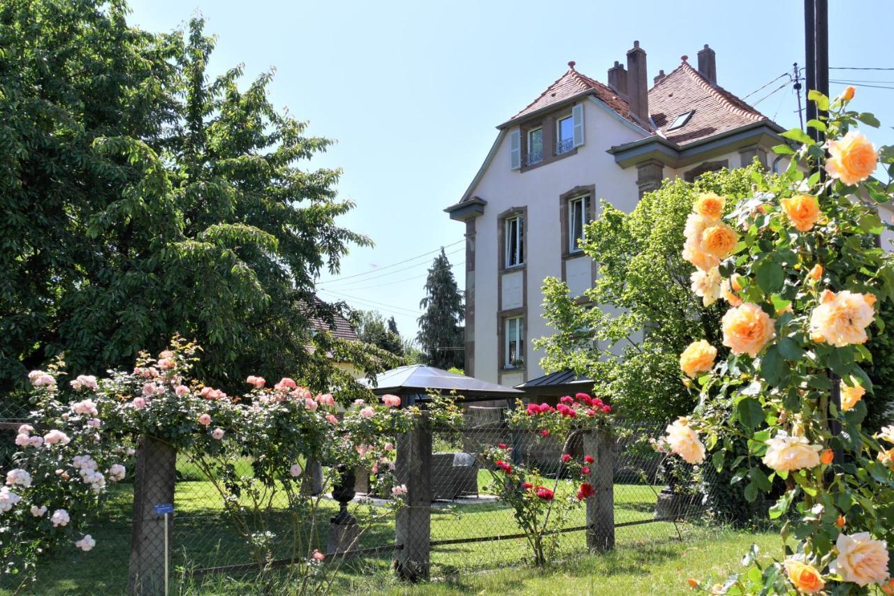 Le Jardin Des Roses Lejlighed Saverne Eksteriør billede