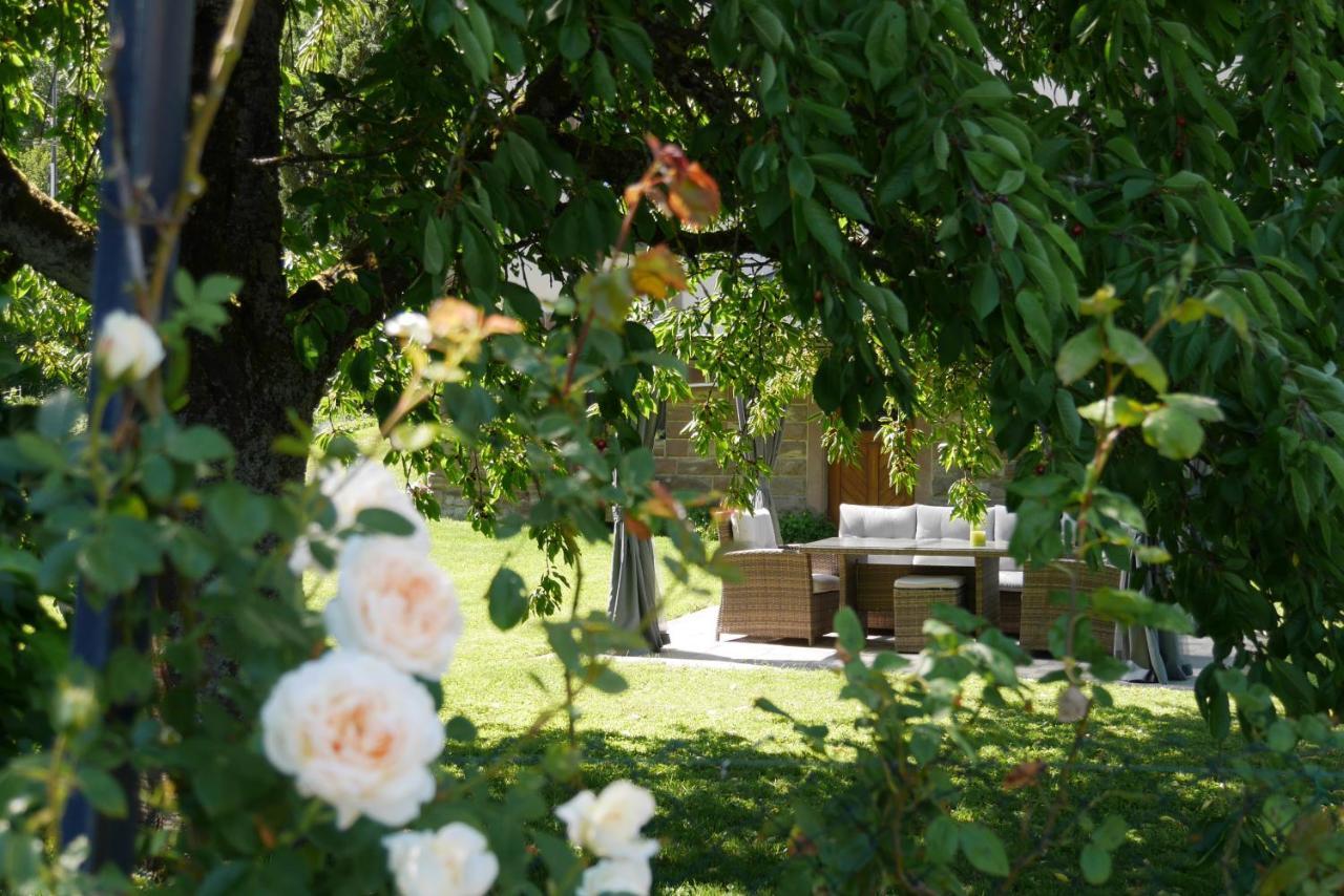 Le Jardin Des Roses Lejlighed Saverne Eksteriør billede