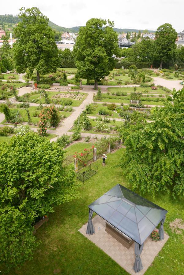 Le Jardin Des Roses Lejlighed Saverne Eksteriør billede